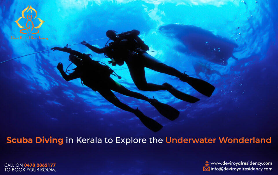 The good thing about scuba diving in Kerala is that the water is relatively warm, so you will not need to wear a wetsuit.