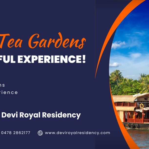 Kerala tea gardens experience.