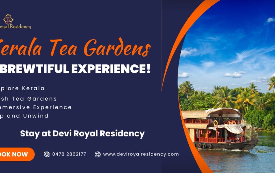 Kerala tea gardens provide a unique & captivating experience that is beyond just drinking tea. This is going to be a stimulating journey,