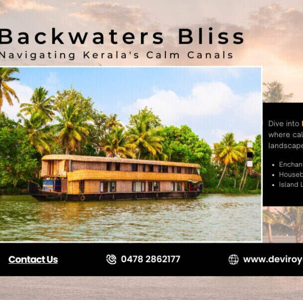 Navigating Kerala's calm backwaters bliss.