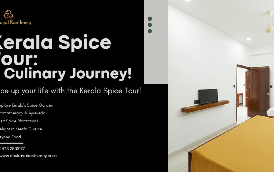 Kerala spice tour is going to be a memorable experience for every foodie. This is a chance to get ready for a lip-smacking adventure.