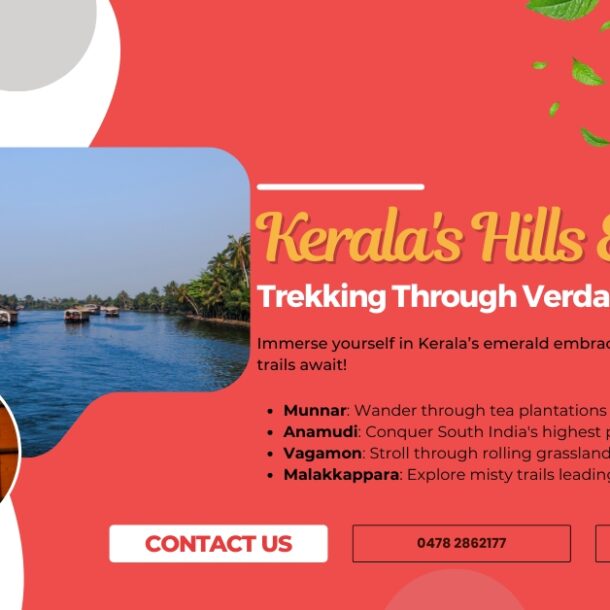 Trekking through verdant landscapes in Kerala's hills.