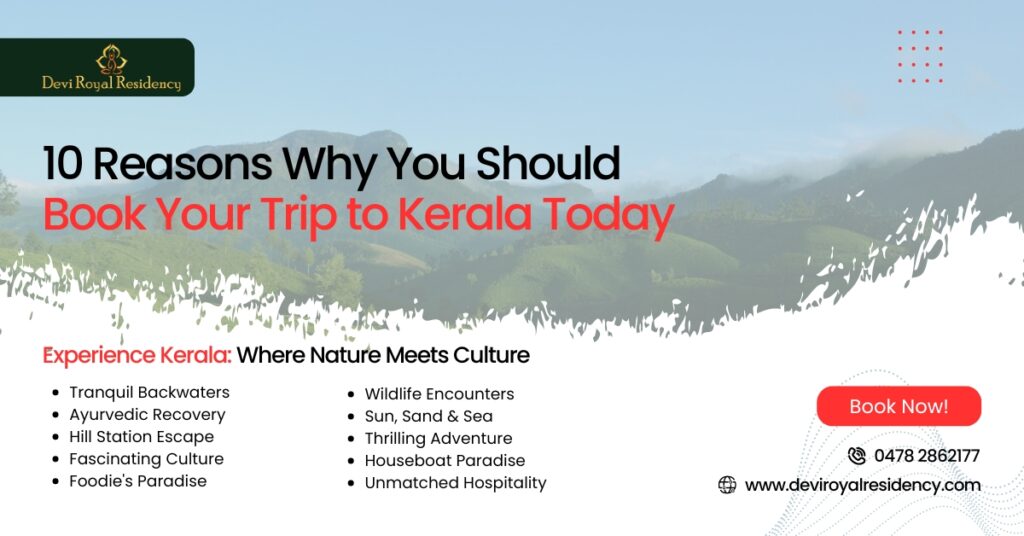 Traditional folklore tales are whispered around every corner. Here are the ten top reasons why you should book your trip to Kerala today.