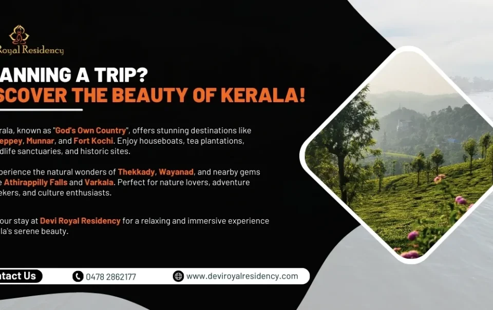 Kerala is a tropical oasis endowed with a distinctive ecosystem. Let us talk about some of the best places for trip in Kerala.