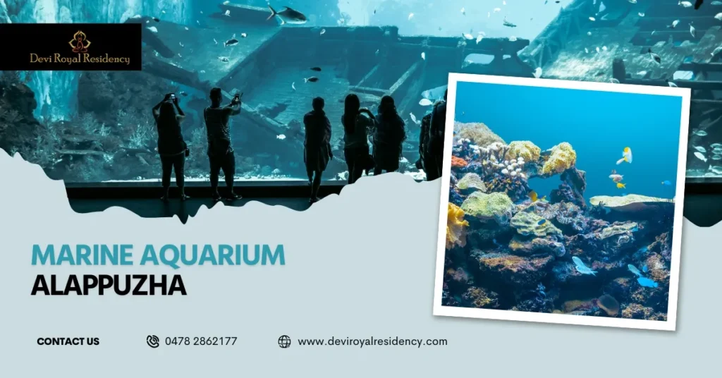 Marine Aquarium Alappuzha combines additional layer of appeal to this coastal locale. Devi is perfect for your forthcoming adventure. 