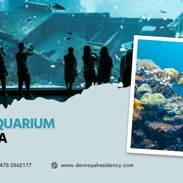 Marine Aquarium Alappuzha combines additional layer of appeal to this coastal locale. Devi is perfect for your forthcoming adventure. 