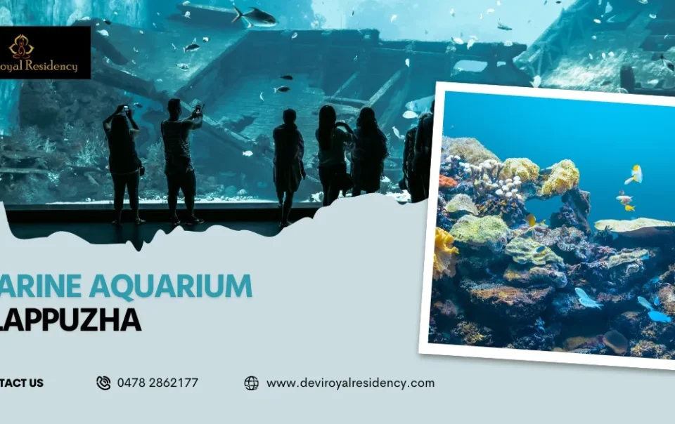 Marine Aquarium Alappuzha combines additional layer of appeal to this coastal locale. Devi is perfect for your forthcoming adventure. 