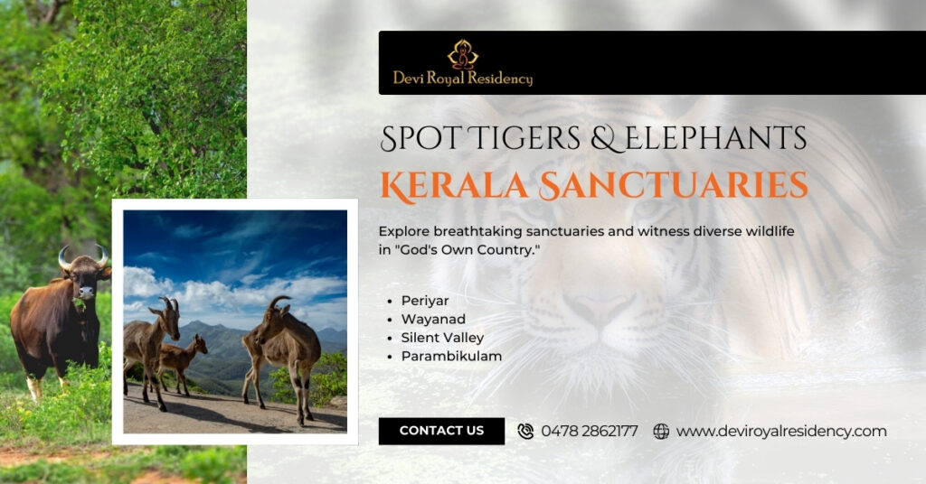 After exploring some of the most spectacular Kerala sanctuaries during each day of your tour, you deserve relaxing night stays.