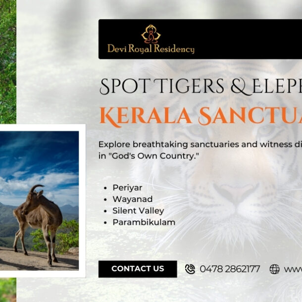 After exploring some of the most spectacular Kerala sanctuaries during each day of your tour, you deserve relaxing night stays.