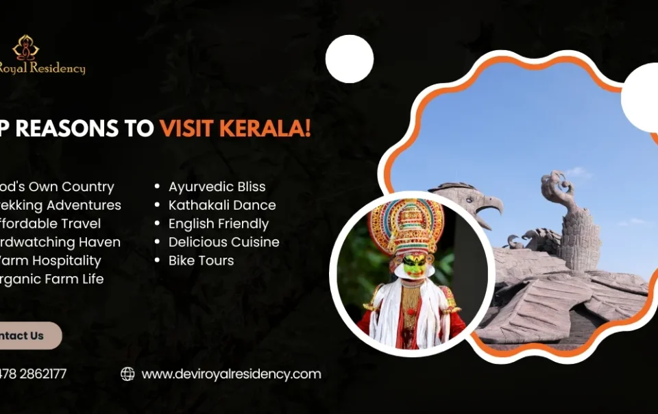 Whether you have already explored India or are just starting out, then here's why Kerala must be your next travel destination.