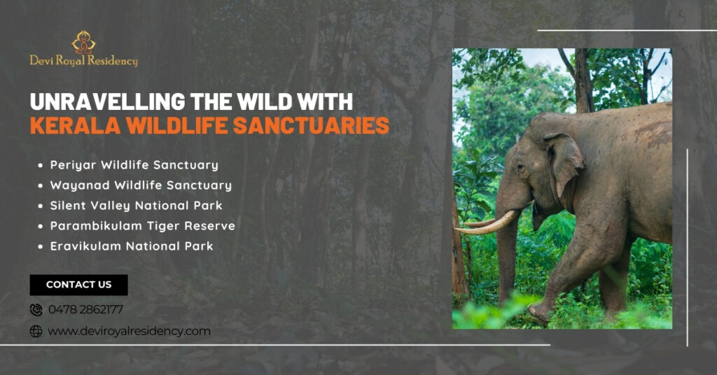 Kerala wildlife sanctuaries happen to be a testimony to the state's promise to sustain its lavish natural legacy.