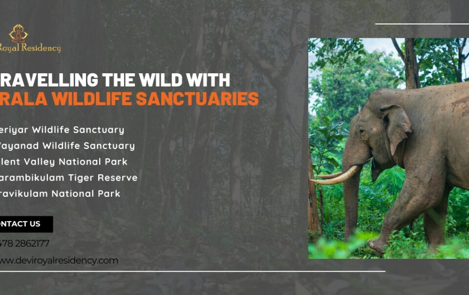 Kerala wildlife sanctuaries happen to be a testimony to the state's promise to sustain its lavish natural legacy.