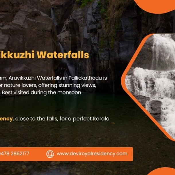 Explore the serene ambiance of Aruvikkuzhi Waterfalls in Kottayam, Kerala. Discover its location, distance, & reviews.