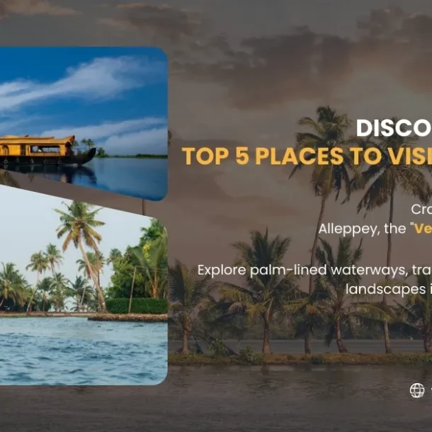 Let us provide you with a textual glimpse of top 5 places to visit in Alleppey that would steer you towards your next Kerala vacation!