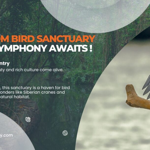 Visit Kumarakom Bird Sanctuary in Kerala. It is a paradise forbirdwatchers & nature devotees. See a wide variety of birds.