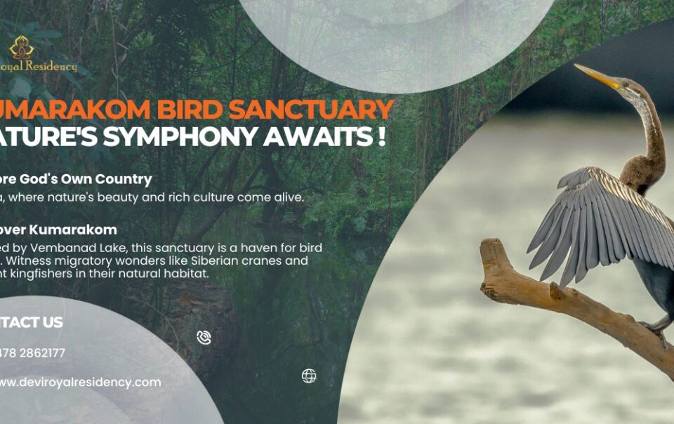 Visit Kumarakom Bird Sanctuary in Kerala. It is a paradise forbirdwatchers & nature devotees. See a wide variety of birds.