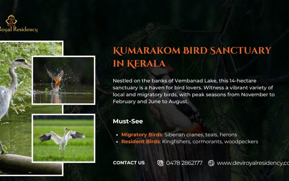 Explore Kumarakom Bird Sanctuary in Kerala. It is home to a wide variety of bird species. Enjoy bird watching, boat rides and more.