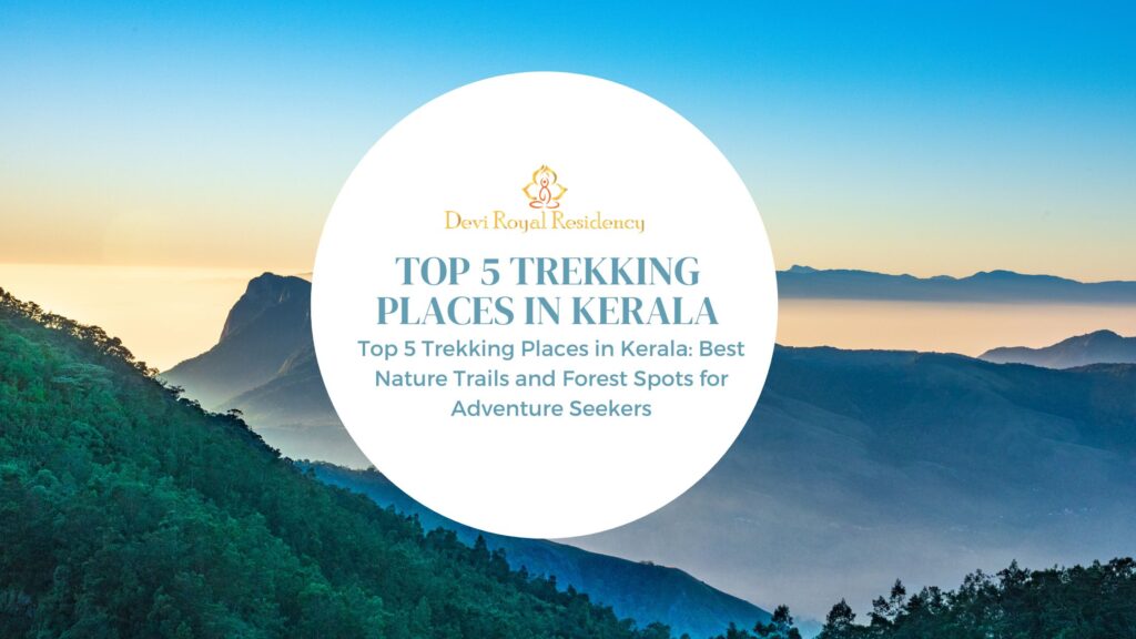 top 5 trekking places in Kerala