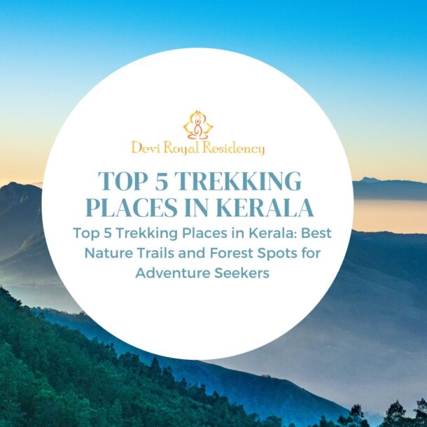 top 5 trekking places in Kerala