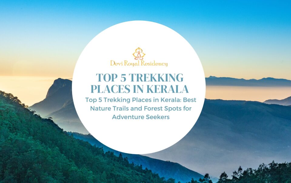 top 5 trekking places in Kerala