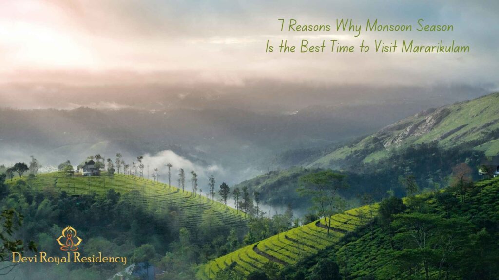 Monsoon Season