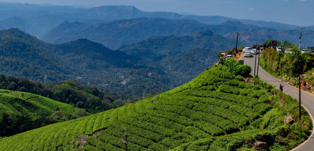 Alleppey to Munnar