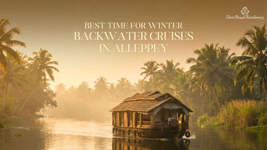 Winter Backwater Cruises