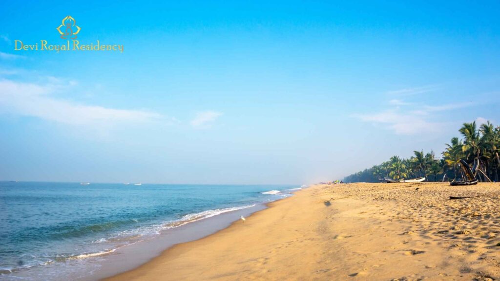 Mararikulam Travel Transport Guide
