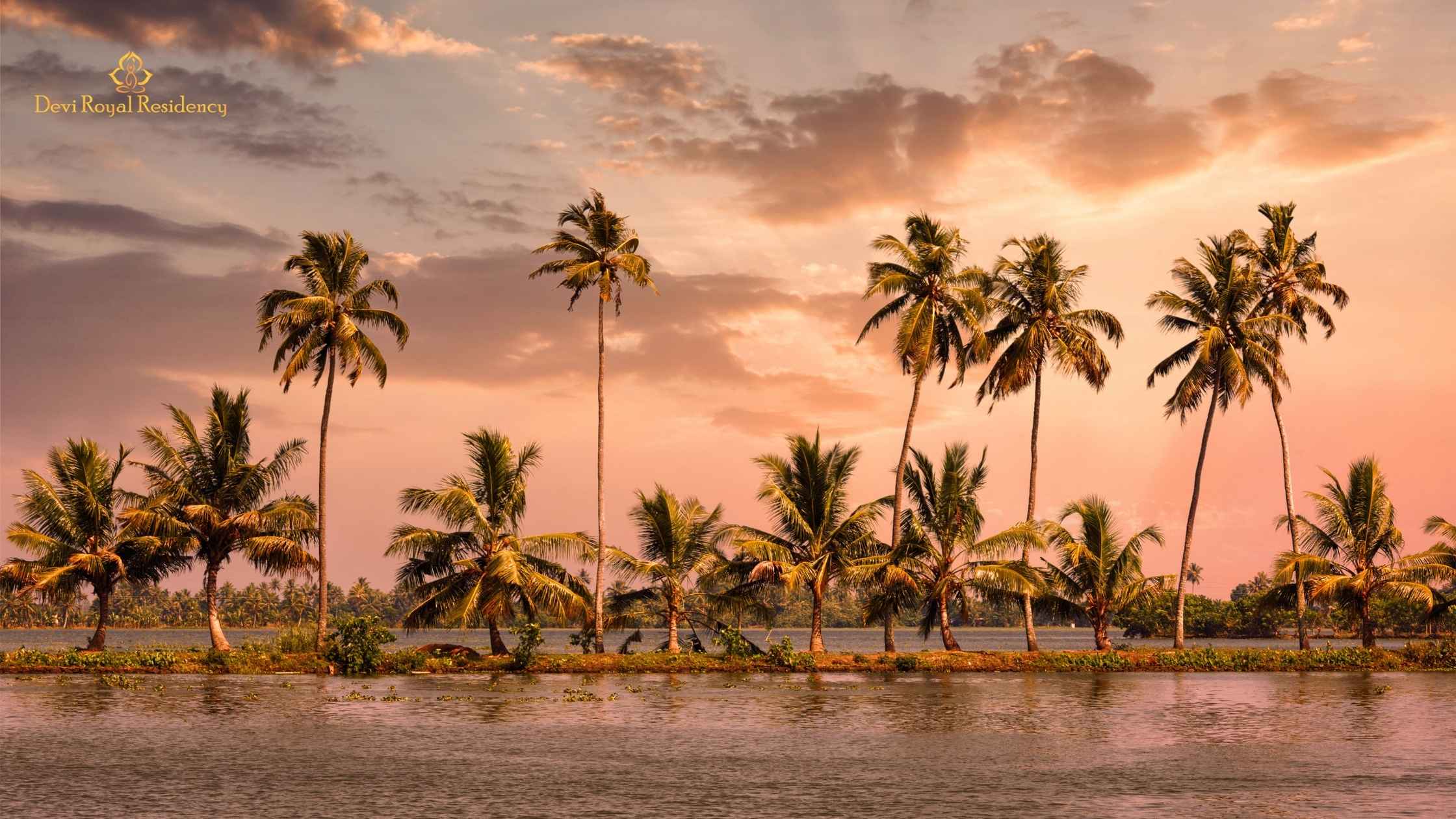 Best Alleppey Photography Spots for Stunning Shots